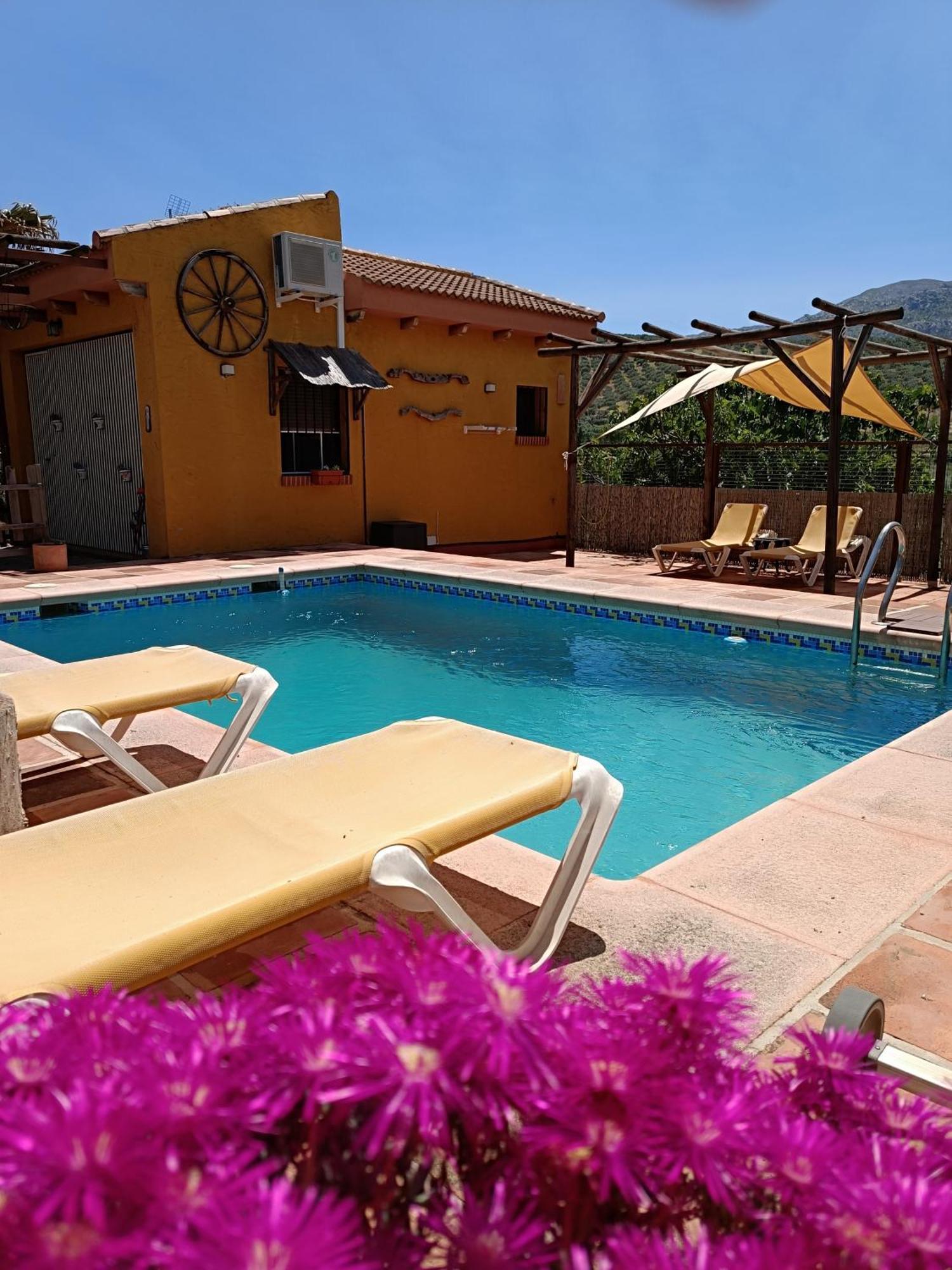 Cortijo Petra Bed & Breakfast Villanueva del Rosario Exterior photo